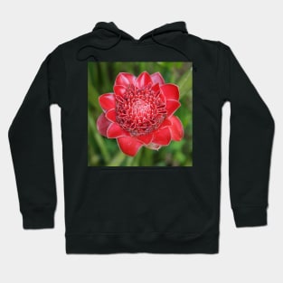 Ginger Flower Hoodie